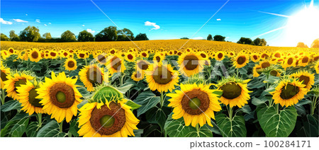 Sunflower blossom farm overlooking blue sky summer season landscape banner, cut and craft style, organic plants 100284171
