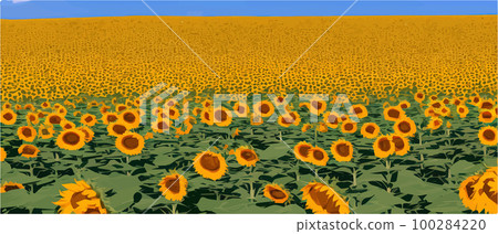 Sunflower blossom farm overlooking blue sky summer season landscape banner, cut and craft style, organic plants 100284220
