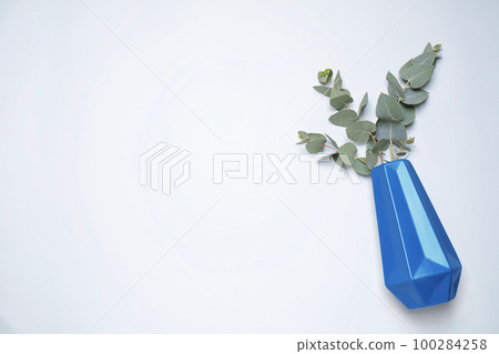 Vase with eucalyptus on white background, top view. Color of the year 2020 (Classic blue) Vase with eucalyptus on white background, top view. Color of the year 2020 (Classic blue) 100284258