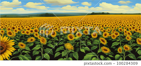 Sunflower blossom farm overlooking blue sky summer season landscape banner, cut and craft style, organic plants Sunflower blossom farm overlooking blue sky summer season landscape banner, cut and craft style, organic plants 100284309