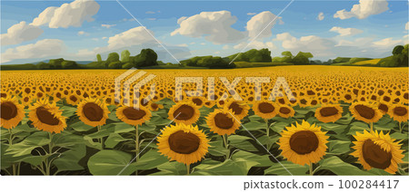 Sunflower blossom farm overlooking blue sky summer season landscape banner, cut and craft style, organic plants 100284417