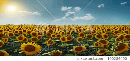 Sunflower blossom farm overlooking blue sky summer season landscape banner, cut and craft style, organic plants Sunflower blossom farm overlooking blue sky summer season landscape banner, cut and craft style, organic plants 100284490