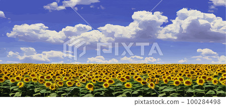Sunflower blossom farm overlooking blue sky summer season landscape banner, cut and craft style, organic plants Sunflower blossom farm overlooking blue sky summer season landscape banner, cut and craft style, organic plants 100284498