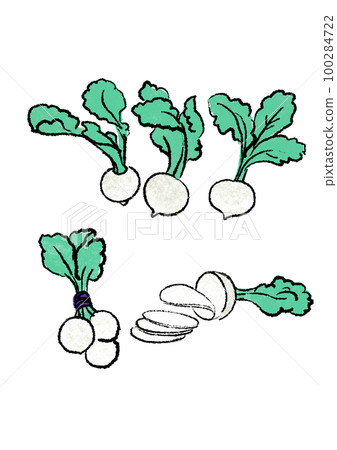 Brush pen Japanese style turnip Brush pen Japanese style turnip 100284722