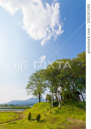 中子八幡神社的鳥居和藍天(熊本縣南阿蘇) 中子八幡神社的鳥居和藍天(熊本縣南阿蘇) 100285269