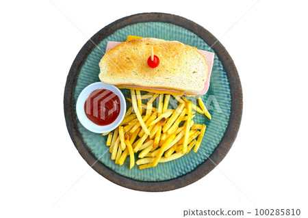Sandwich and french fries in plate 100285810