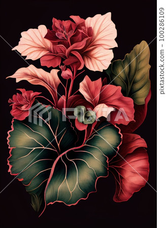 Begonia Flower Botanical Illustration, Pot Flowers Realistic Painting, Abstract Generative AI Illustration 100286109