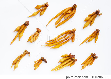 Finger root on a white background. Finger root on a white background. 100286156