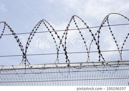 Barbed wires against sky. Wired fence 100286207