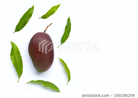 Mango, Tropical fruit with leaves on white background. Top view Mango, Tropical fruit with leaves on white background. Top view 100286209