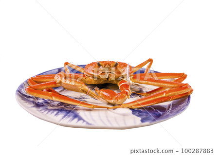Tagged boiled snow crab 100287883
