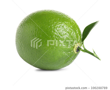 Fresh ripe lime with green leaf isolated on white Fresh ripe lime with green leaf isolated on white 100288789