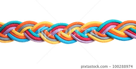 Braided colorful ropes isolated on white. Unity concept 100288974
