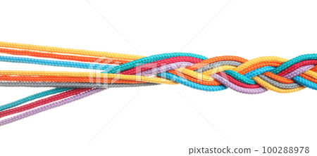 Braided colorful ropes isolated on white. Unity concept Braided colorful ropes isolated on white. Unity concept 100288978