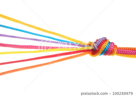 Colorful ropes tied together with knot isolated on white. Unity concept 100288979