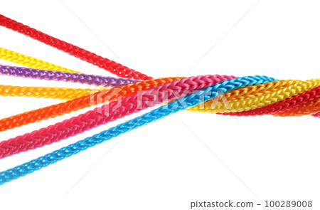 Twisted colorful ropes isolated on white. Unity concept 100289008