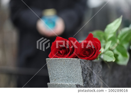 Red roses on grey granite tombstone outdoors. Funeral ceremony 100289016