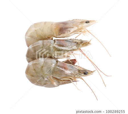 Fresh raw shrimps isolated on white, top view. Healthy seafood 100289255