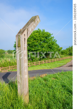 Lake Yanaka Watarase Reservoir Early June scenery 100289505