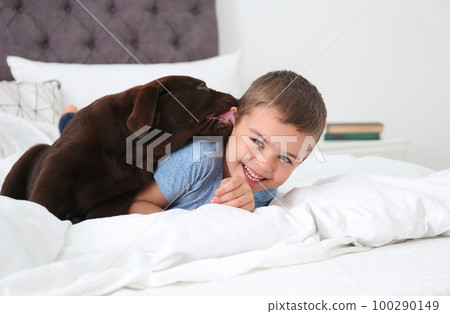 Funny puppy and little boy on bed at home. Friendly dog 100290149