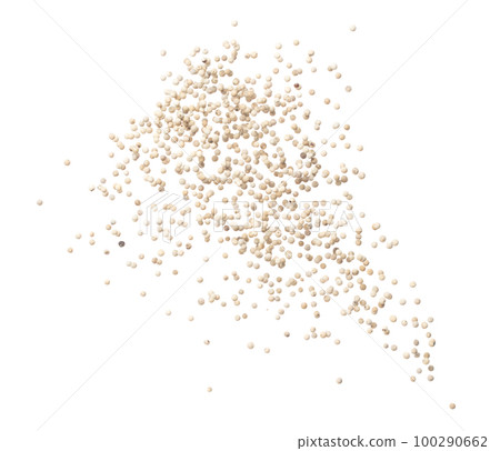 White Pepper seeds fly explosion, white Pepper float explode, abstract cloud fly. Peppercorn splash throwing in Air. White background Isolated high speed shutter, freeze motion White Pepper seeds fly explosion, white Pepper float explode, abstract cloud fly. Peppercorn splash throwing in Air. White background Isolated high speed shutter, freeze motion 100290662