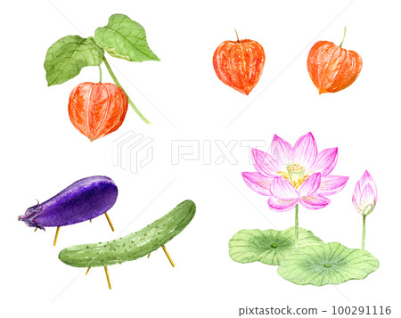 Obon decoration set drawn in watercolor vector 100291116