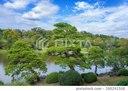 美麗的日本黑松樹和日本庭園的秋色的協同景觀@大阪 100291508