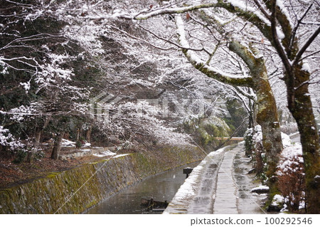 雪哲學之路 雪哲學之路 100292546