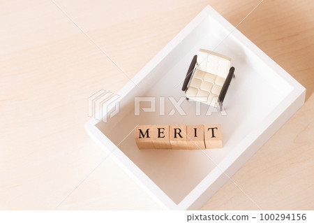 MERIT 在一個白色的盒子裡 MERIT 在一個白色的盒子裡 100294156