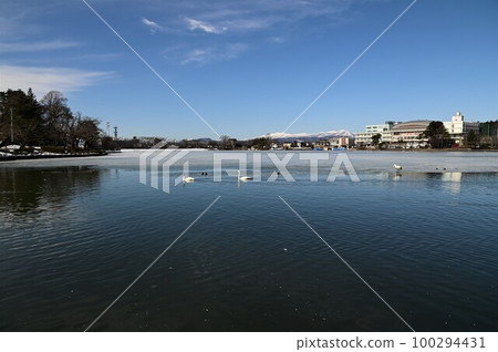 Wild birds of Takamatsu pond 100294431