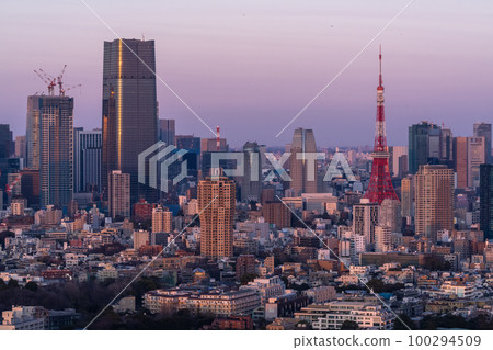 《東京》東京夜景/魔法時刻 100294509