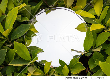 Silver round mirror surrounded by green ornamental plants. Silver round mirror surrounded by green ornamental plants. 100294998