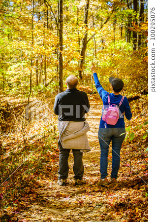 Senior couple hiking 100295076