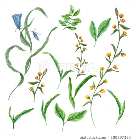 Set of watercolor flower and leaves isolated on a white background. Hand drawn illustration for wallpaper, print, scrap, banner design, postcards, template 100297353