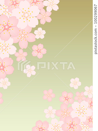 Cherry Blossom Cherry Blossom 100299067