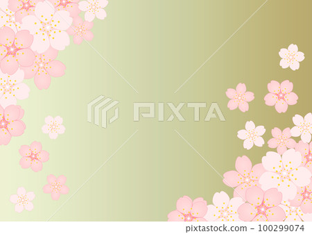 Cherry Blossom	 100299074