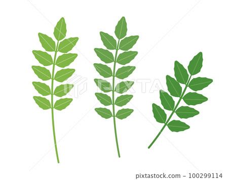 An illustration inspired by Japanese pepper leaves 100299114