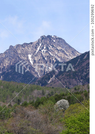 Akadake and Yamanashi at the foot of the mountain in early summer looking up from Makiba Park 100299692