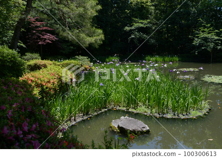 平安神宮 白小池 京都市左京區 平安神宮 白小池 京都市左京區 100300613