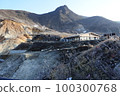 Owakudani  100300768