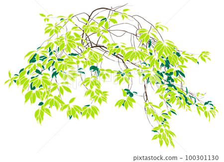 Background material with young leaves and watercolor style branches on a white background 100301130