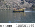 Ashinoko pirate ship 100301145
