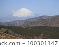 Hakone and Mount Fuji 100301147
