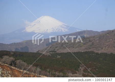 Hakone and Mount Fuji 100301147