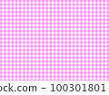 PIXTA positive 方格花格圖案粉色 100301801