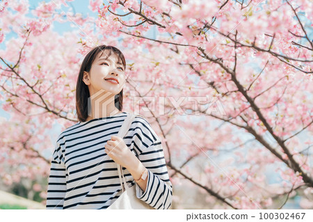 Cherry blossoms and university students 100302467