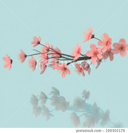 櫻花季:象徵春天的櫻花插畫 櫻花季:象徵春天的櫻花插畫 100303178