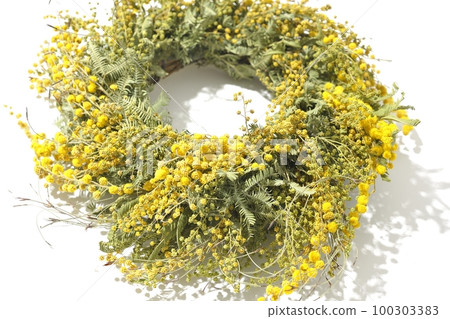 在白色背景下拍攝的含羞草花圈 100303383