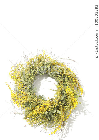 A mimosa wreath photographed against a white background 100303393