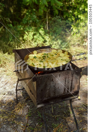 Fried potatoes in the forest. B-B-Q, Lifestyle. Vertical orientation Fried potatoes in the forest. B-B-Q, Lifestyle. Vertical orientation 100303445